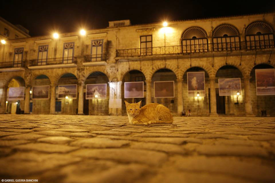 Exhibition Its Hope at Cathedral Square by Gabriel Guerra Bianchini